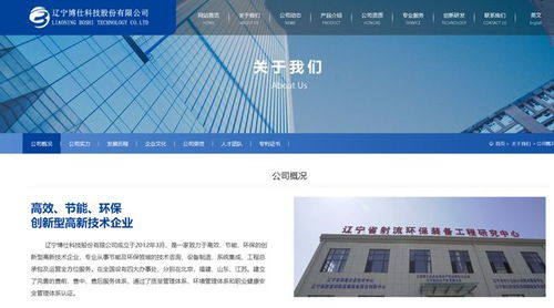 遼寧博仕科技因圍標(biāo)串標(biāo)遭三年禁入 被列入不良行為記錄名單